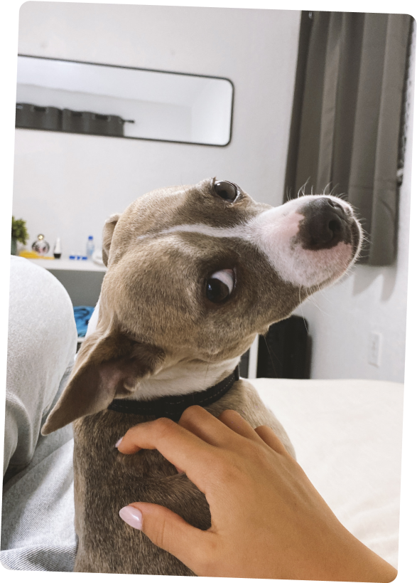 The Design Project team member