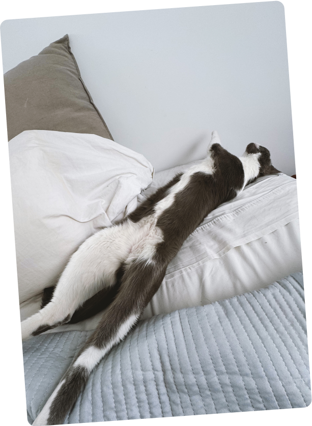 The Design Project team member