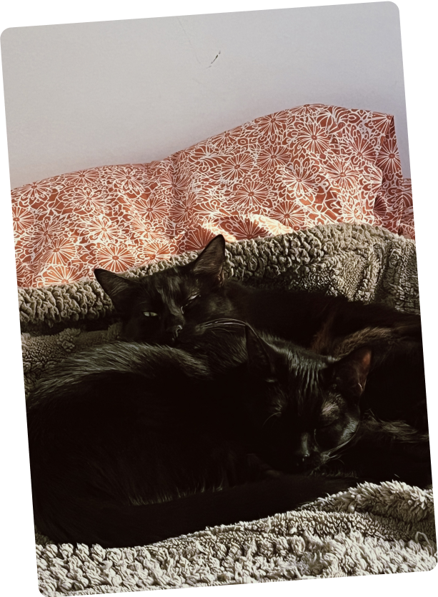 The Design Project team member