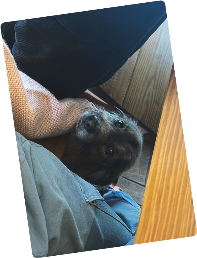 The Design Project team member